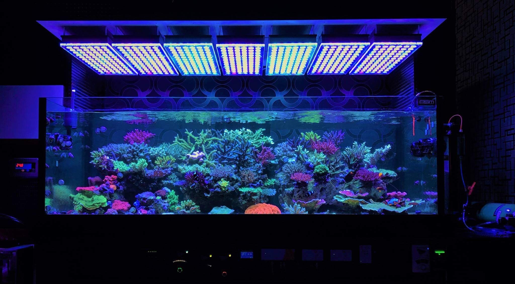 Amazing Reef Aquarium LED Light